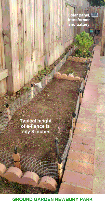 http://www.wolfgardening.com/index_files/image006.gif